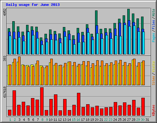 Daily usage for June 2013