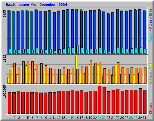 Daily usage for December 2024