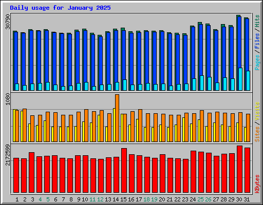 Daily usage for January 2025