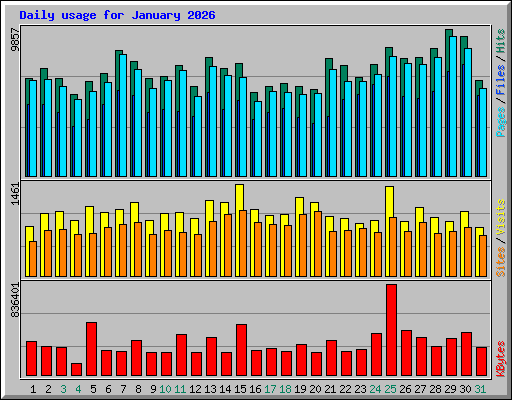 Daily usage for January 2026