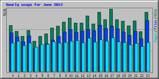 Hourly usage for June 2013