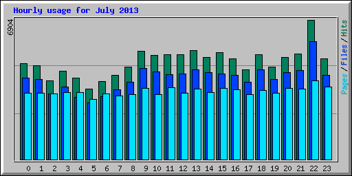 Hourly usage for July 2013