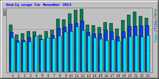 Hourly usage for November 2013
