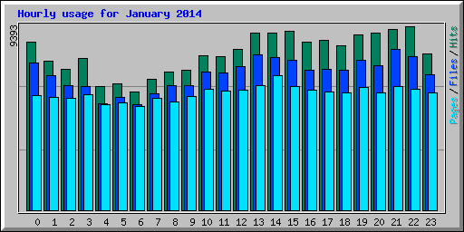 Hourly usage for January 2014