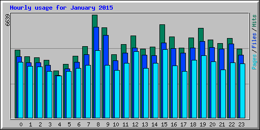 Hourly usage for January 2015