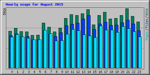 Hourly usage for August 2015
