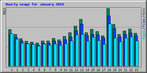 Hourly usage for January 2016