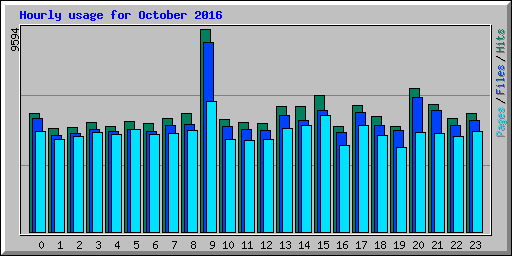 Hourly usage for October 2016