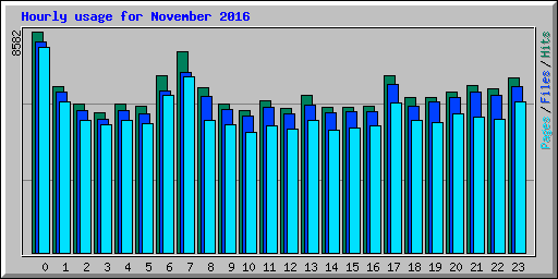 Hourly usage for November 2016