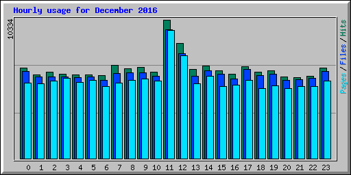 Hourly usage for December 2016