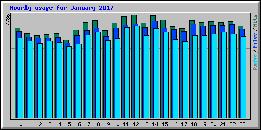 Hourly usage for January 2017