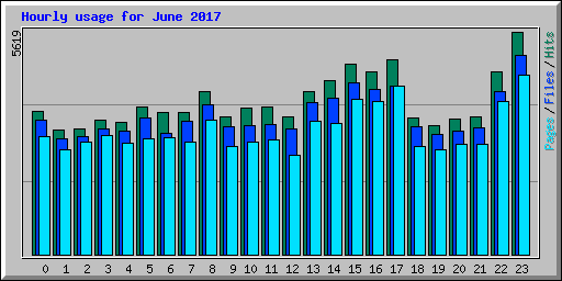 Hourly usage for June 2017