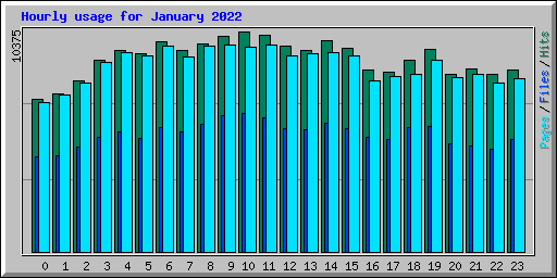 Hourly usage for January 2022
