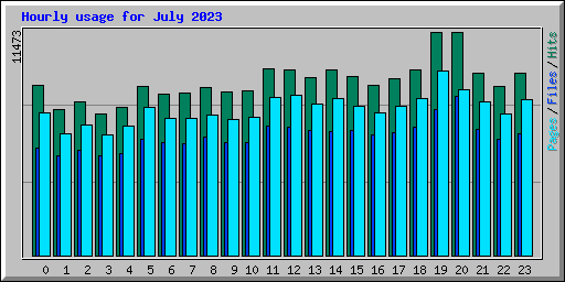 Hourly usage for July 2023