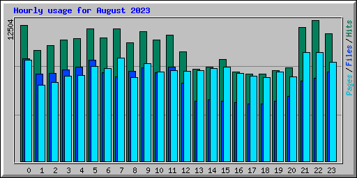 Hourly usage for August 2023