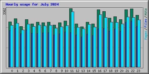 Hourly usage for July 2024