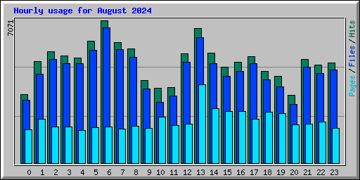 Hourly usage for August 2024
