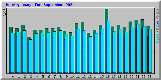 Hourly usage for September 2024