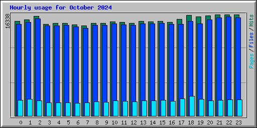 Hourly usage for October 2024