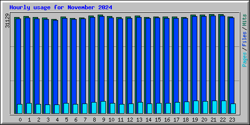 Hourly usage for November 2024