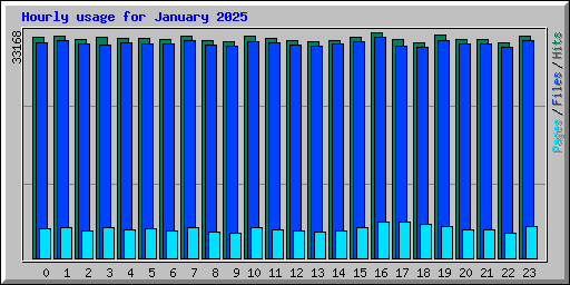 Hourly usage for January 2025