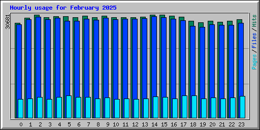 Hourly usage for February 2025