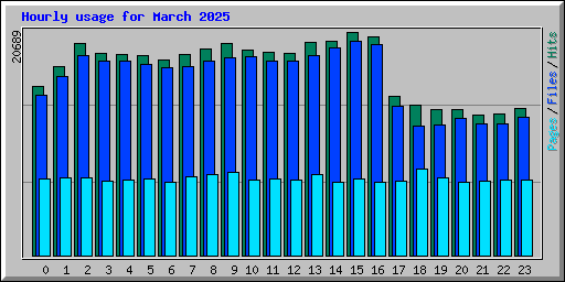 Hourly usage for March 2025