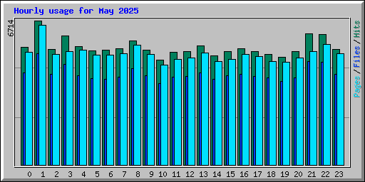 Hourly usage for May 2025