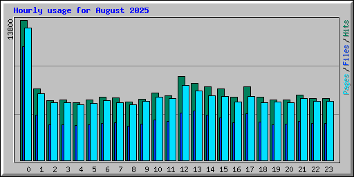 Hourly usage for August 2025
