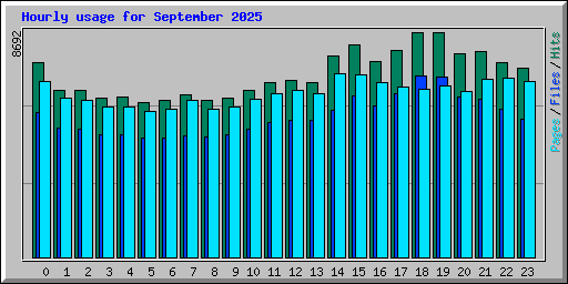 Hourly usage for September 2025