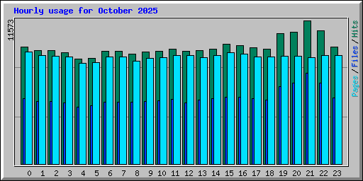 Hourly usage for October 2025