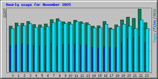 Hourly usage for November 2025