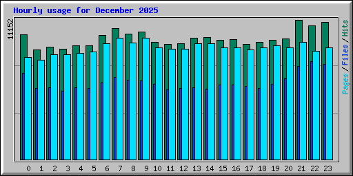 Hourly usage for December 2025