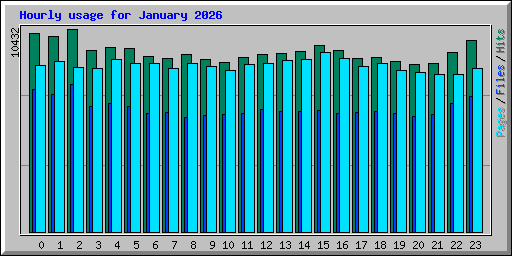 Hourly usage for January 2026