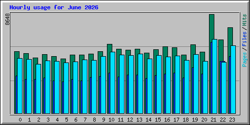 Hourly usage for June 2026