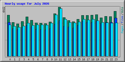 Hourly usage for July 2026