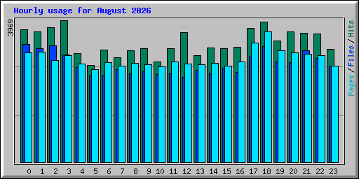Hourly usage for August 2026